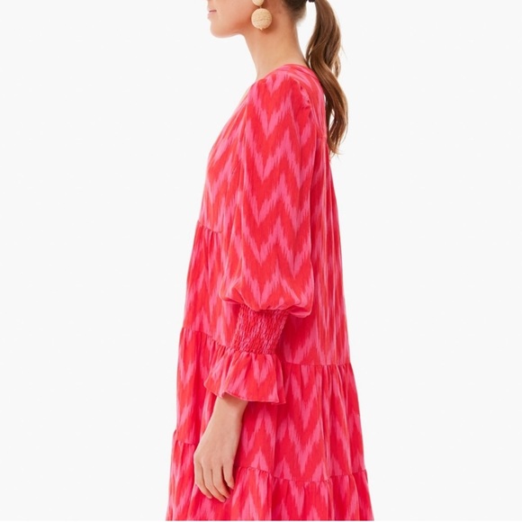 Pomander Place Hot Pink Ikat Kenzo Dress Red Chevron Ruffle - Picture 2 of 14